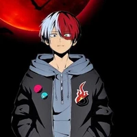 shoto todoroki
