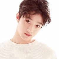 Lai Guan Lin