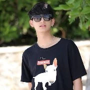 วี(พระเอก)