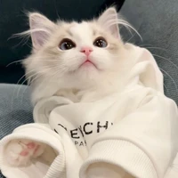 ผู้ช่วยสุดน่ารัก~~~