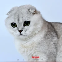 อีนี้มันบ้า