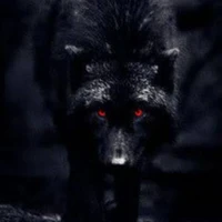 Lobo Maick
