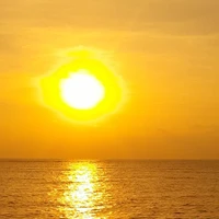 Author(Summer)
