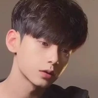 ฮัน