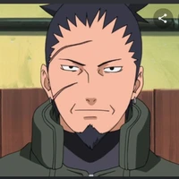 shikaku nara