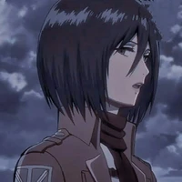 MIKASA