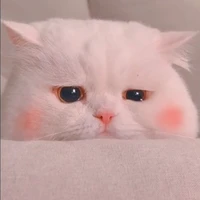 🥀แอด🖇️
