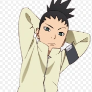 shikadai