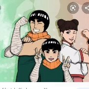 metal lee