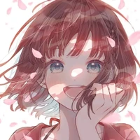 Y/N