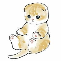Neko kun