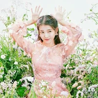 lee iu