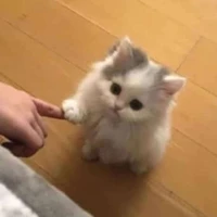 𝓐𝓾𝓽𝓱𝓸𝓻㋛︎❤︎