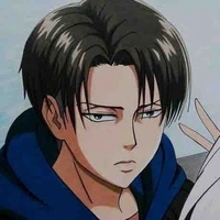 Levi