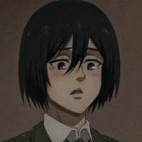 mikasa