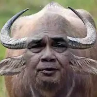 ตปก.ญ