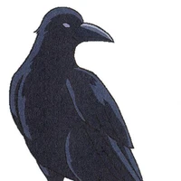 Cuervo Kasugai
