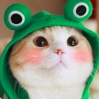 แมวเหมียว[แอดเองแหละ]