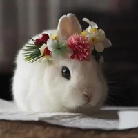 วารี(เจ้ากระต่าย🐰)