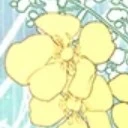 ราฟาเอล(เสียงของโลก)
