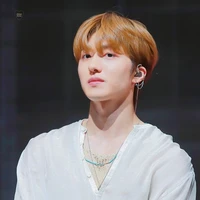 Chani