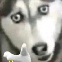 ตัวไร