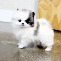 กุนจิ[น้องเล็ก]