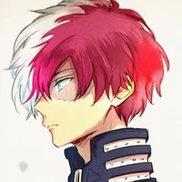 Shoto Todoroki