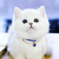 ทรายขาว