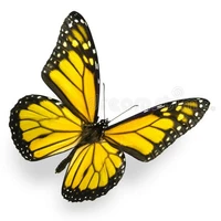 Prof.Shin