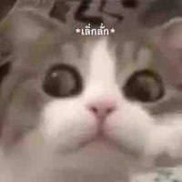ตปกทุกตัว