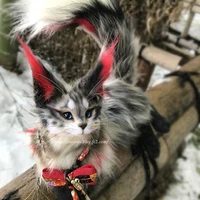 O criador