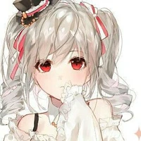 karin 41620