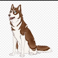akamaru