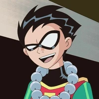 Robin /15 anos