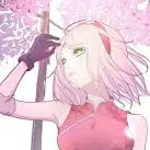 Sakura