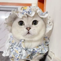 พริ้นเซส.😻