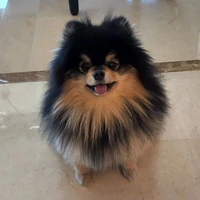 mother of yeontan⁷