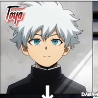toya