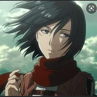 Mikasa