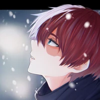 Todoroki (Alpha.D)