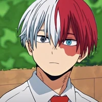 โชโตะ โทโดโรกิ