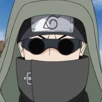 shino(O. D)