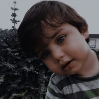 Thiago Morello Brown