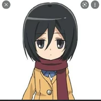 mikasa