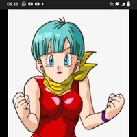 bulma