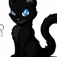 Evil cat
