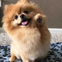 Fluffy. 
