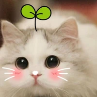 แอด