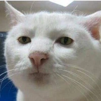 แอด.